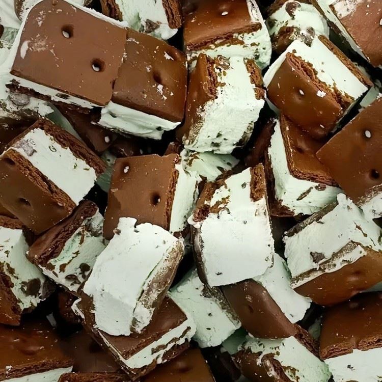 Freeze Dried Ice Cream Sandwich Bulk best